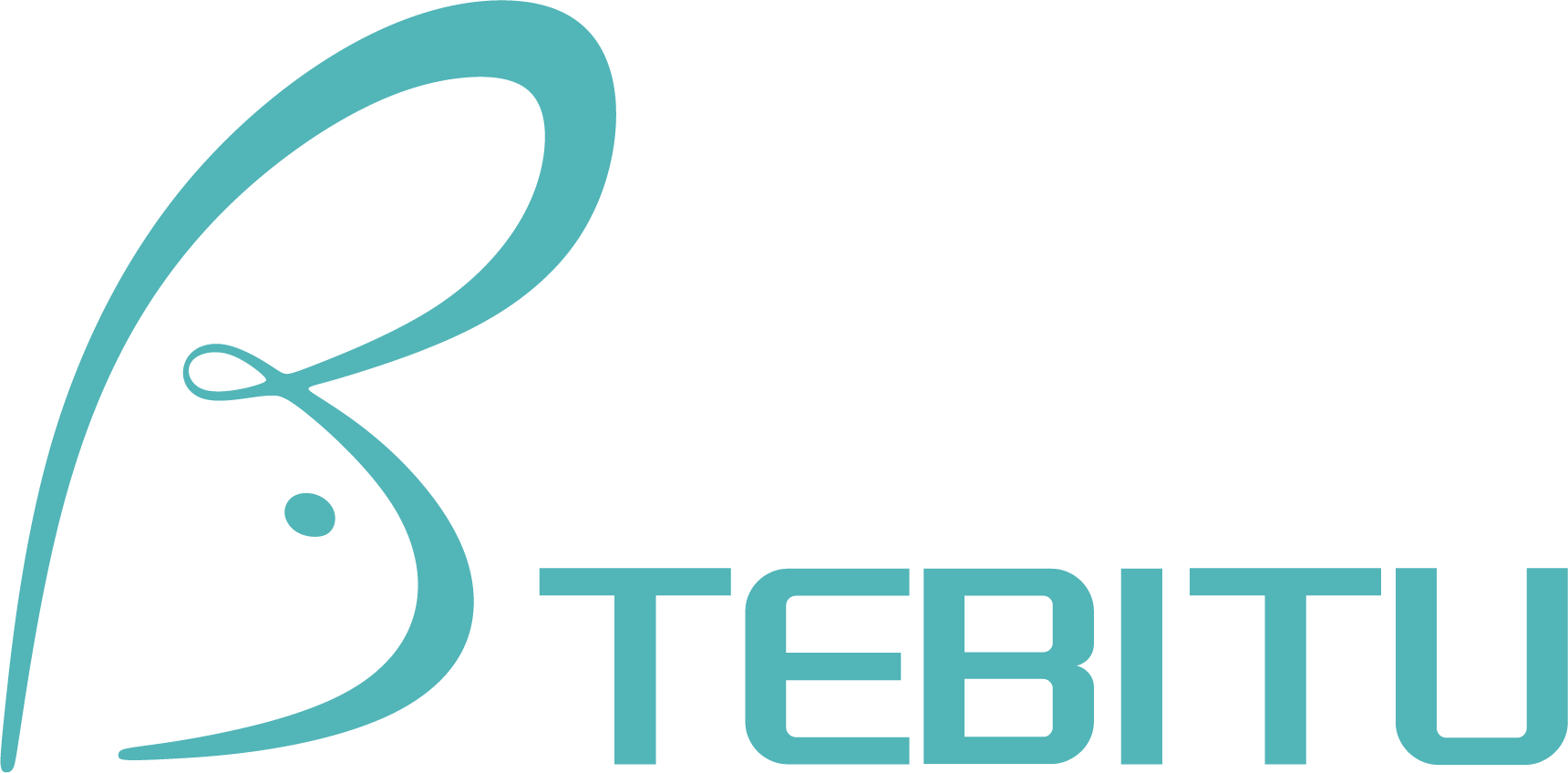 TEBITU logo